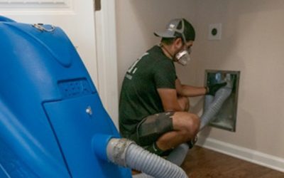 Average Cost of Dryer Vent Cleaning: What to Expect