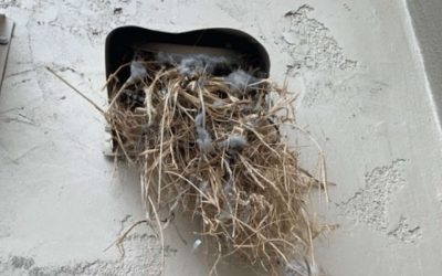 How Dryer Vent Cleaning Helps Dallas Multifamily Properties Pass Inspections