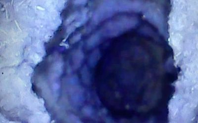 Is Dryer Vent Cleaning Necessary for Commercial Properties?