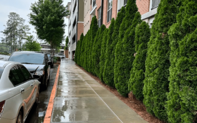 Austin’s Dirty Secret: Why Your Commercial Property Needs Pressure Washing Before Fall